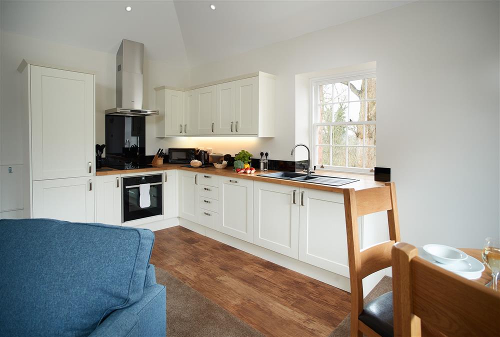 Well-equipped kitchen at Independent Apartment, Netherby Hall, Longtown