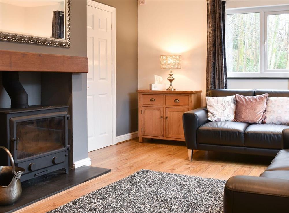 Living room at Inglenook in Backbarrow, near Ulverston, Cumbria