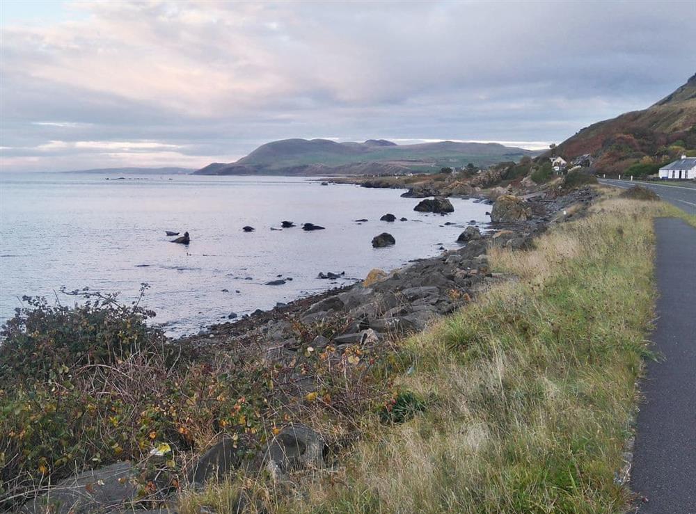 Seals basking on Lendalfoot shore at Ingleside in Ballantrae, near Girvan, Ayrshire