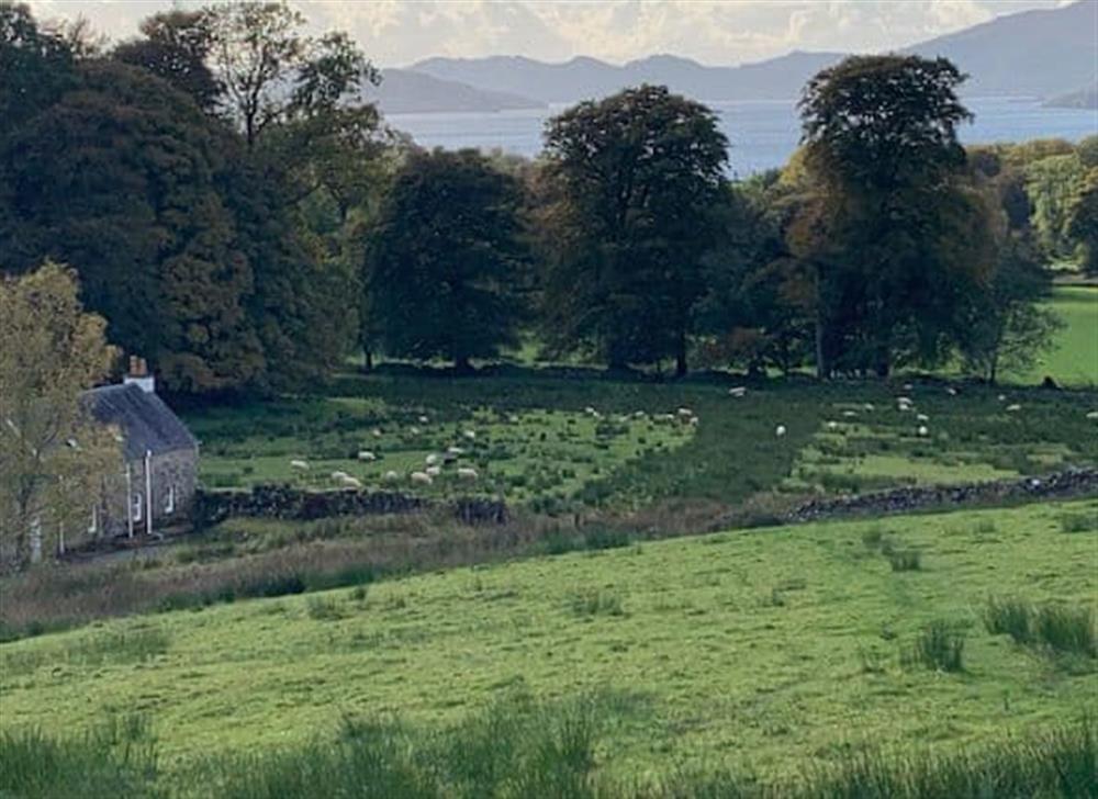 View (photo 2) at Inverglen Farm in Strachur, near Cairndow, Argyll