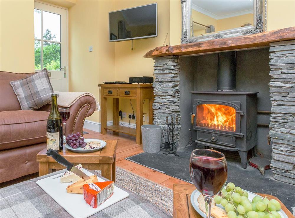 Cosy living room with wood burner at Graces Cottage,