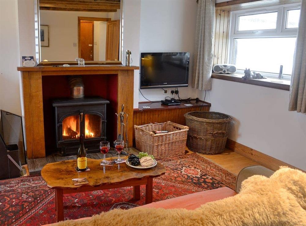 Cosy living room with wood burner (photo 2) at Iona Cottage in Dumfries, Dumfriesshire
