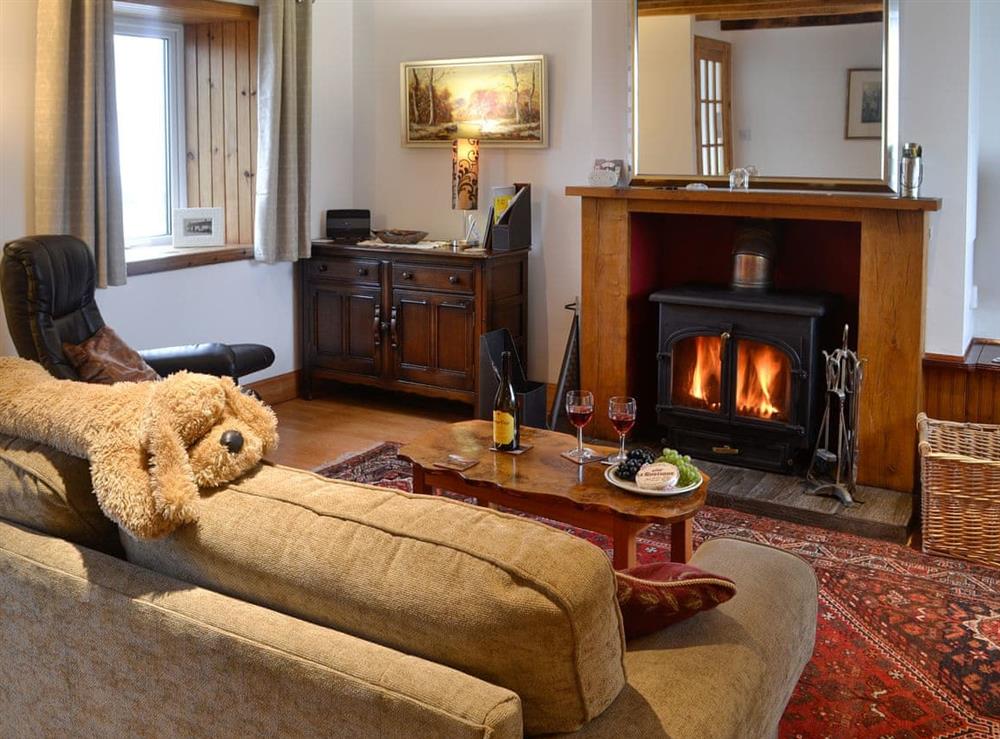 Cosy living room with wood burner at Iona Cottage in Dumfries, Dumfriesshire