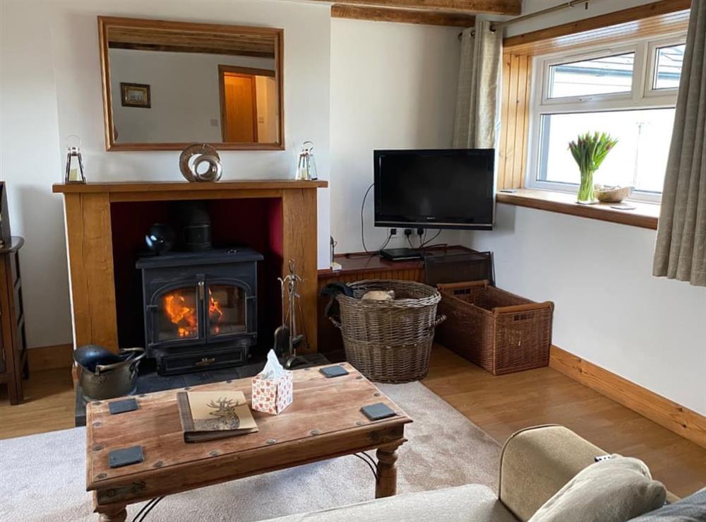 Living room (photo 2) at Iona Cottage in Dumfries, Dumfriesshire