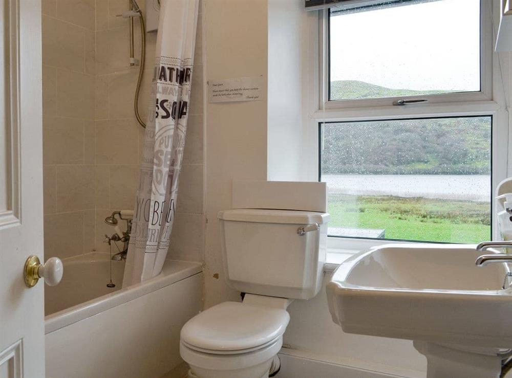 Family bathroom with shower over bath at Isallt in Nantlle, near Beddgelert, Gwynedd