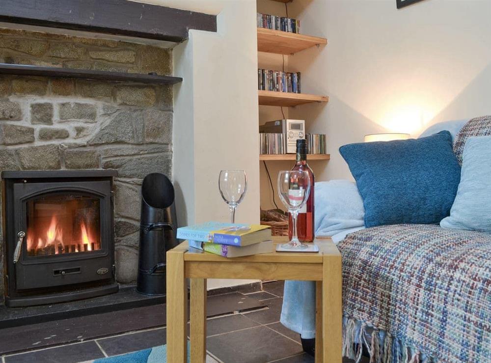 Welcoming living room with wood burner at Isallt in Nantlle, near Beddgelert, Gwynedd