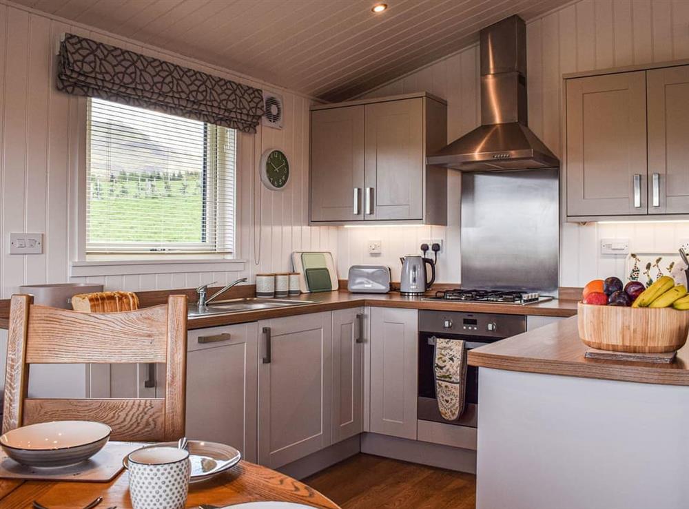 Kitchen (photo 2) at Islabank Lodge in Auchterarder, Perthshire