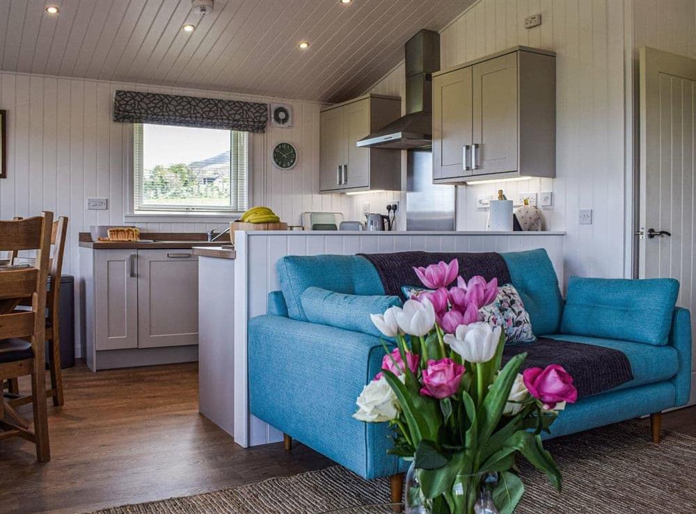 Open plan living space (photo 2) at Islabank Lodge in Auchterarder, Perthshire