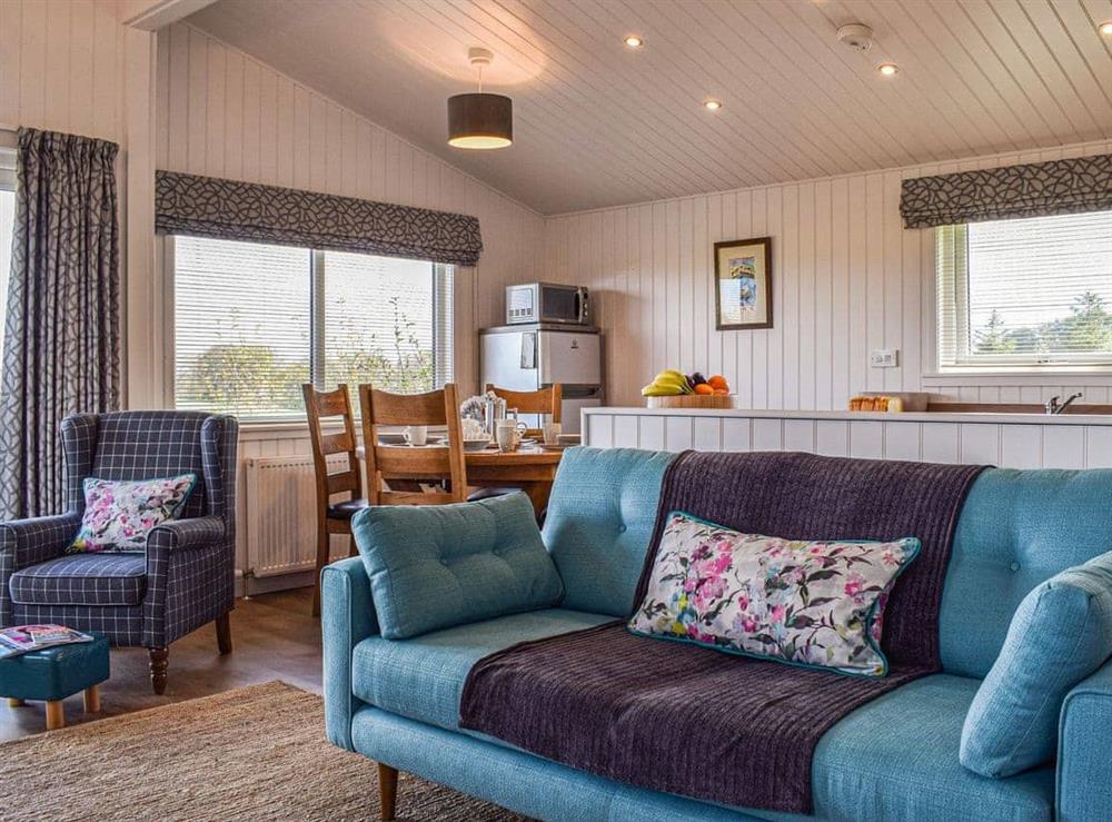 Open plan living space at Islabank Lodge in Auchterarder, Perthshire