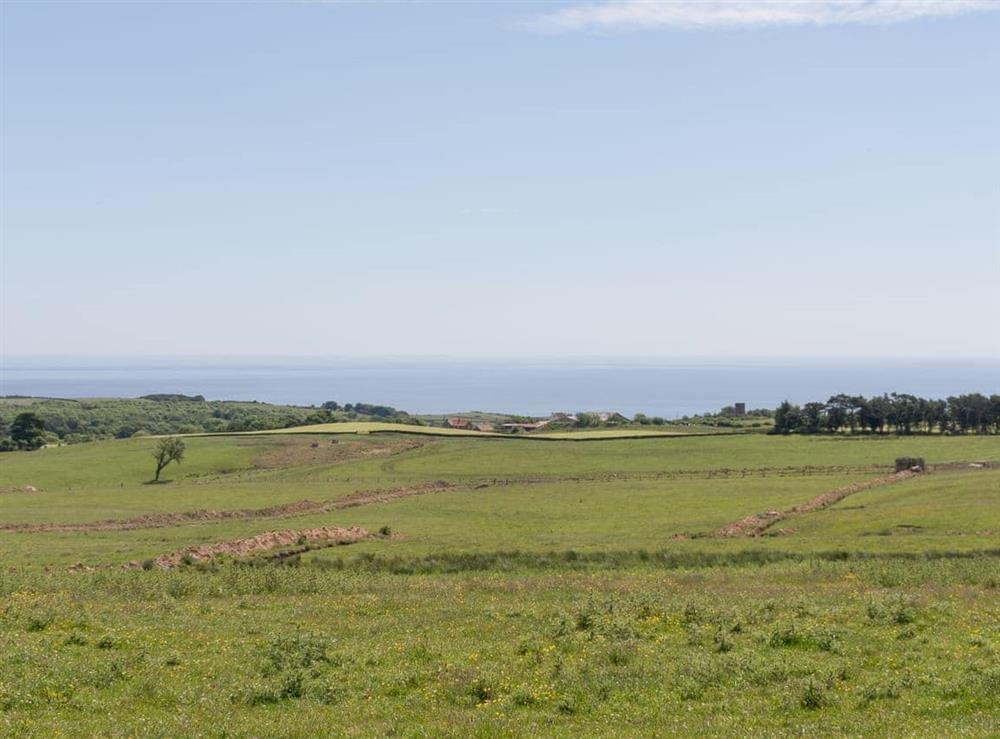 Lovely surrounding area at Island Farm House in Staintondale, near Whitby, North Yorkshire