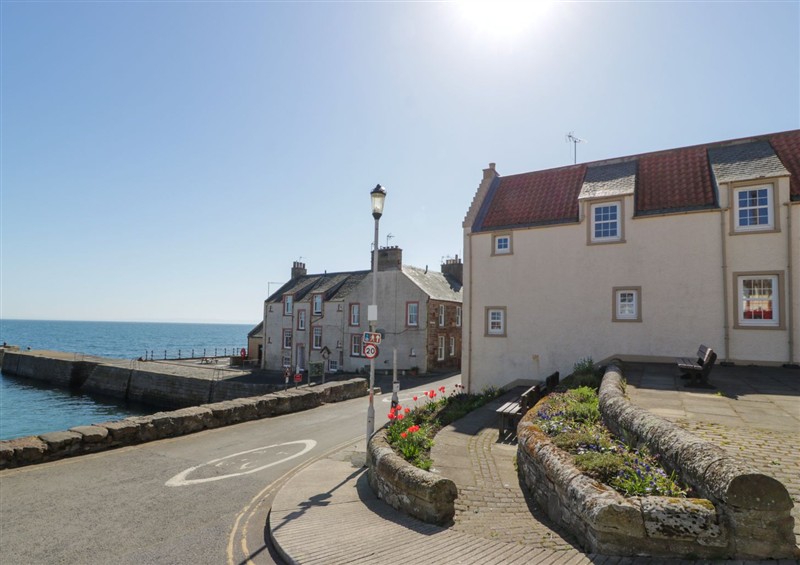 This is Isle of May View at Isle of May View, Cellardyke