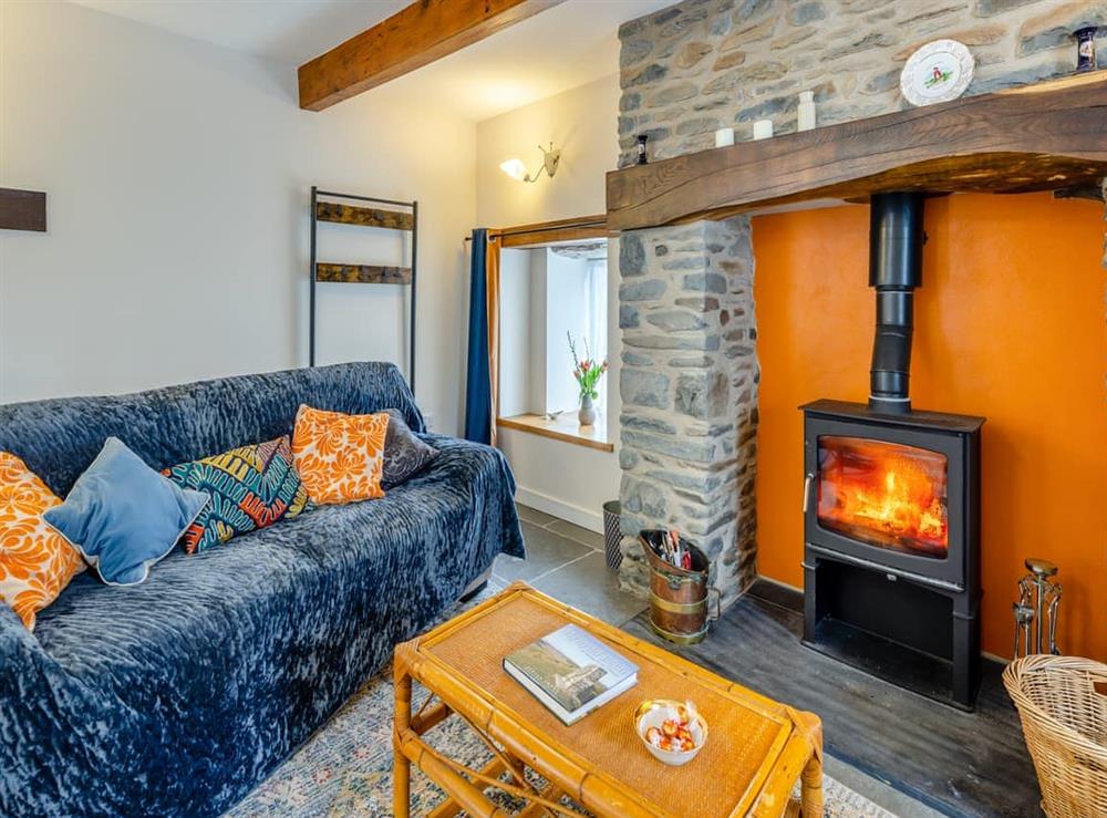 Living area (photo 2) at Ivy Bush Cottage in Llanddewi Brefi, near Tregaron, Dyfed