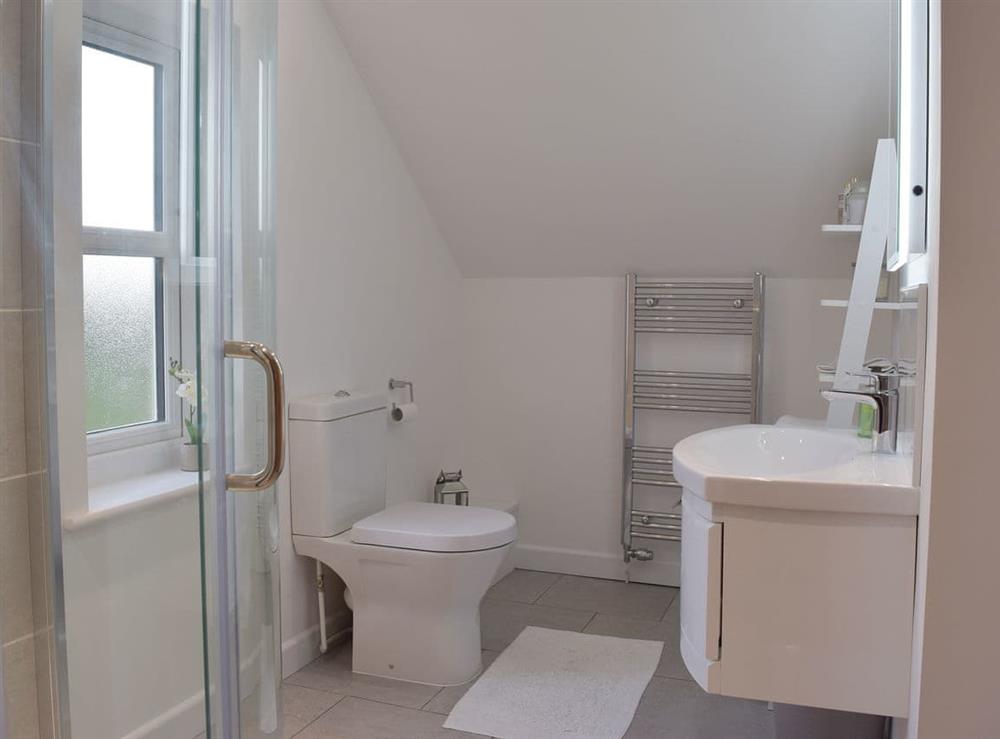 En-suite shower room at Ivy Bush Cottage in New Moat, near Narberth, Pembrokeshire, Dyfed