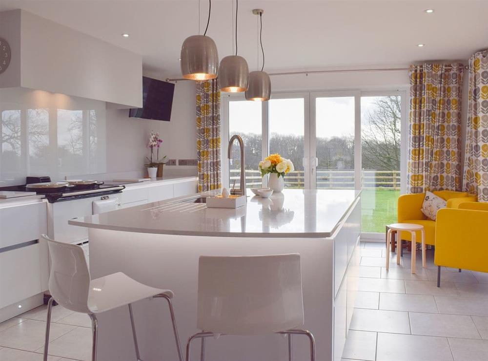 Wonderful modern kitchen with island at Ivy Bush Cottage in New Moat, near Narberth, Pembrokeshire, Dyfed