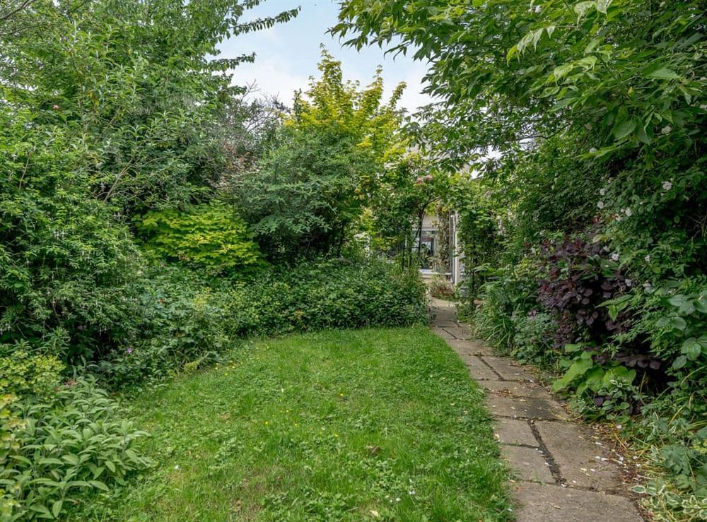 Garden at Ivy Cottage in Colchester, Essex
