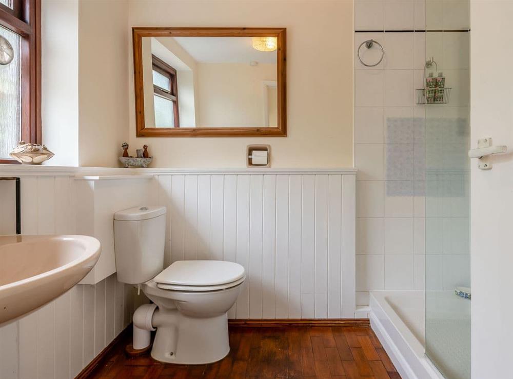 Shower room at Ivy Cottage in Colchester, Essex