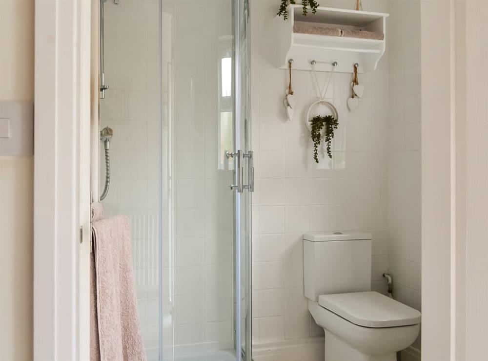 Shower room at Ivy Cottage in Marshchapel, near Cleethorpes, Lincolnshire