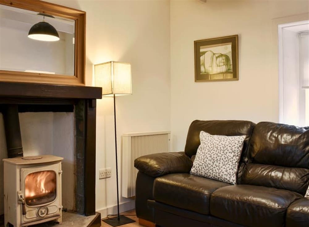 Cosy wood burner in the living area at Ivy Cottage in Near Whiting Bay, Isle of Arran, Scotland