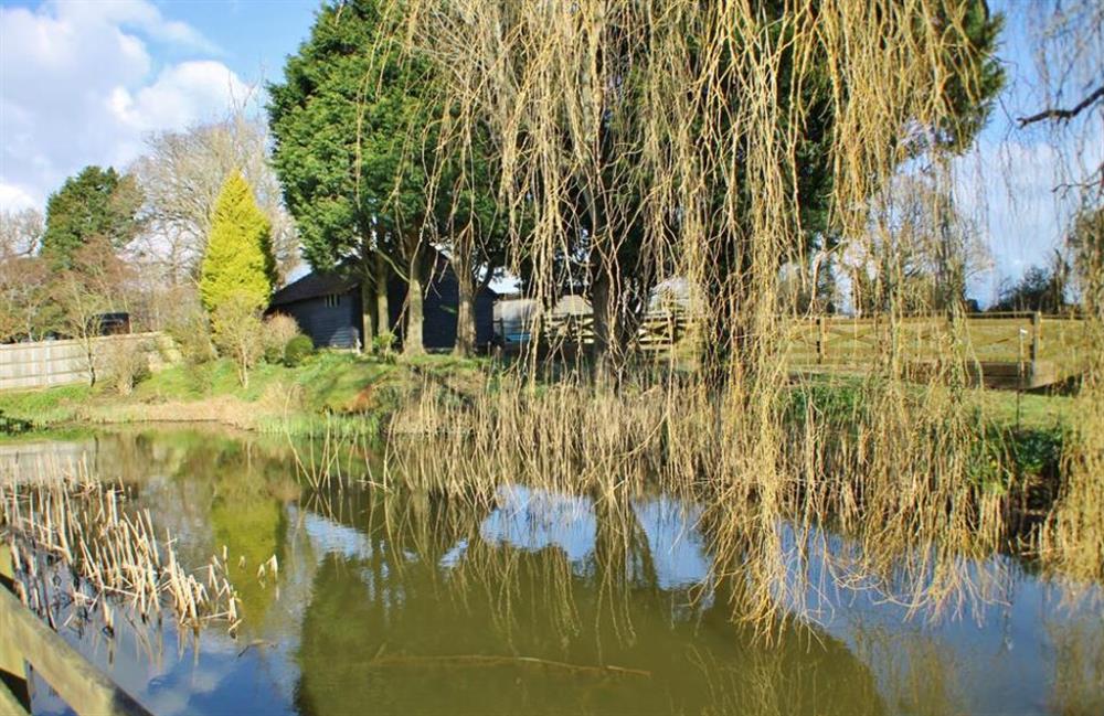 Pond at Ivy Cottage, Westfield, Sussex