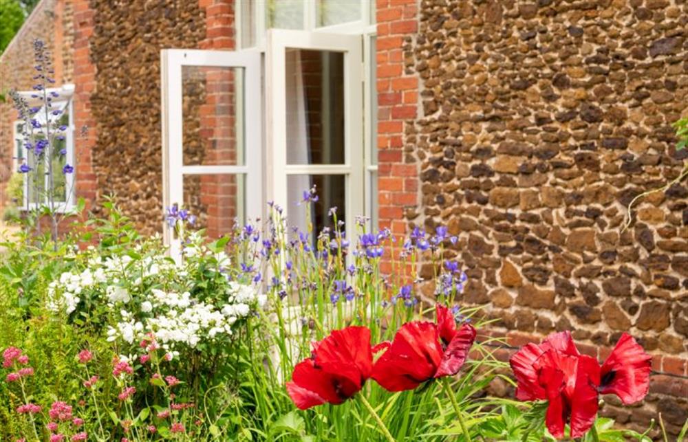 Ground floor: French doors into drawing room