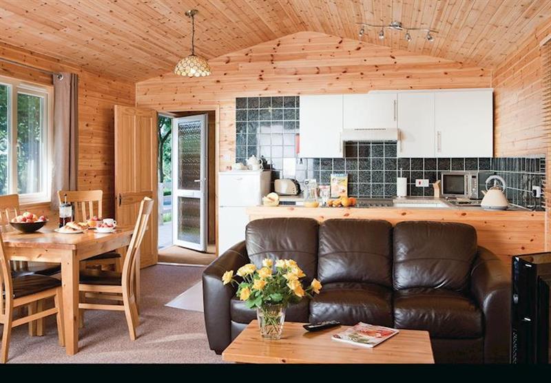 Toad Lodge (photo number 10) at Ivyleaf Combe Lodges in North Cornwall, South West of England