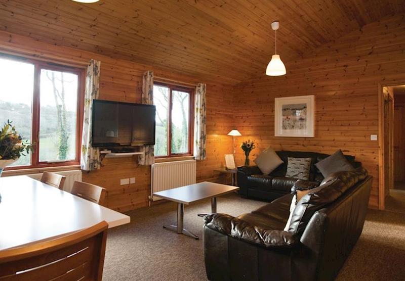 Toad Lodge (photo number 11) at Ivyleaf Combe Lodges in North Cornwall, South West of England