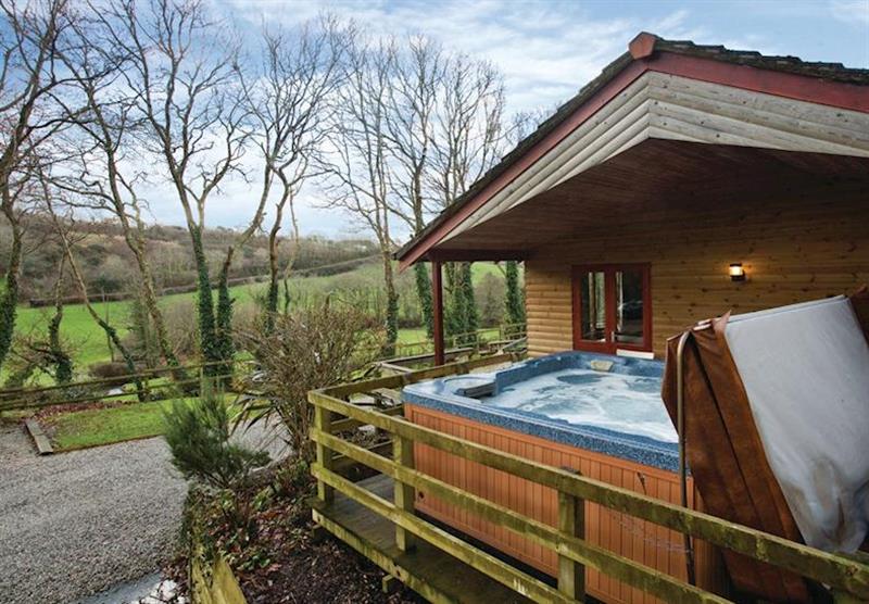Toad Lodge (photo number 9) at Ivyleaf Combe Lodges in North Cornwall, South West of England