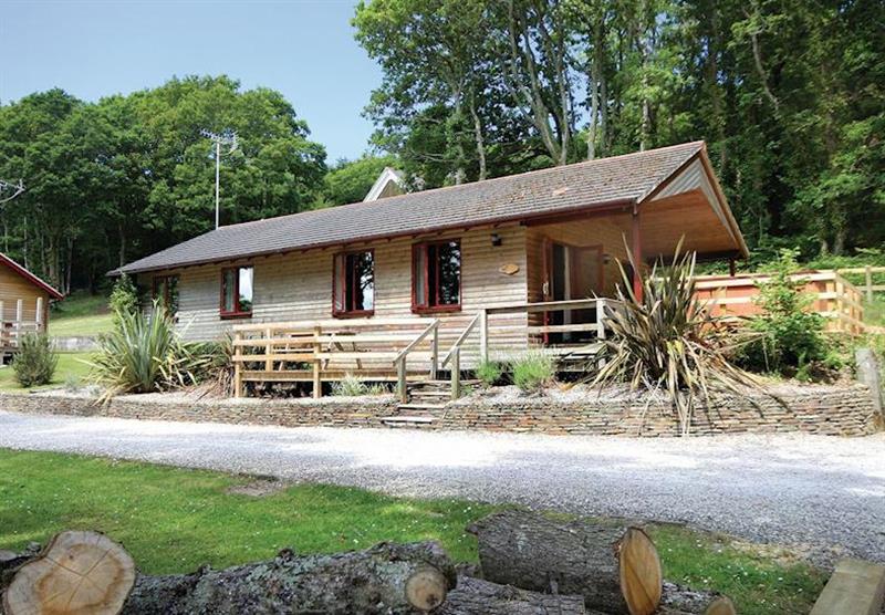 Toad Lodge at Ivyleaf Combe Lodges in North Cornwall, South West of England