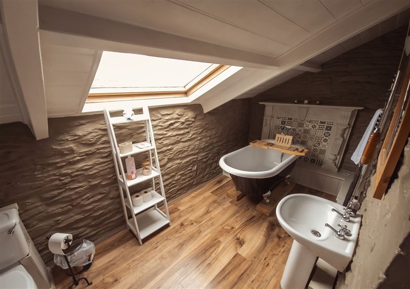 The bathroom at Jabajak, Whitland