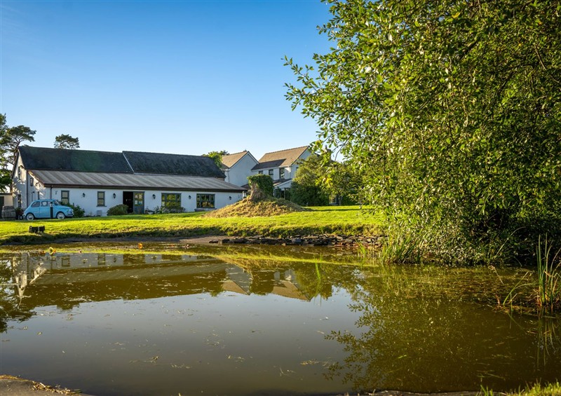 This is the garden (photo 2) at Jabajak, Whitland