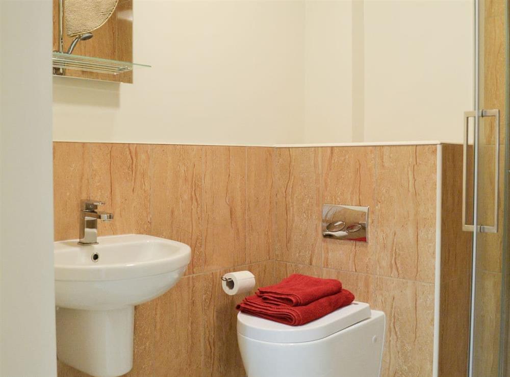 Shower room with shower cubicle, toilet and basin at Skylark View, 