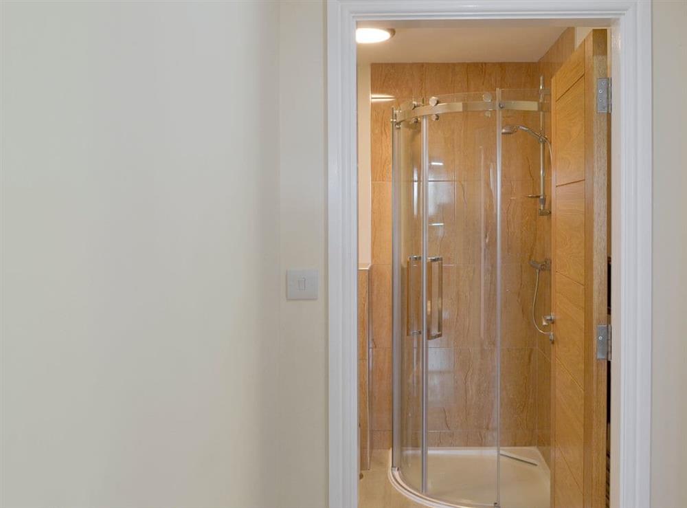 Shower room with toilet and basin at Skylark View, 