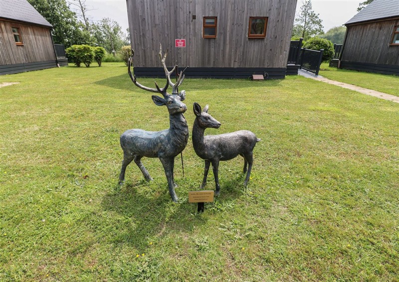 The garden (photo 2) at James Ville Marina Lodge 10, Brigg