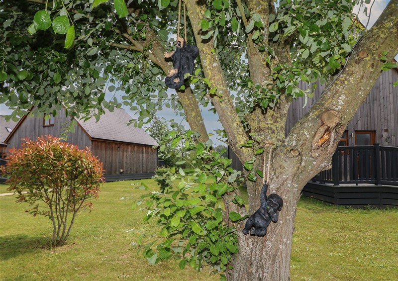 This is the garden (photo 3) at James Ville Marina Lodge 10, Brigg