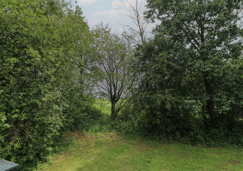 This is the garden at James Ville Marina Lodge 13, Brigg