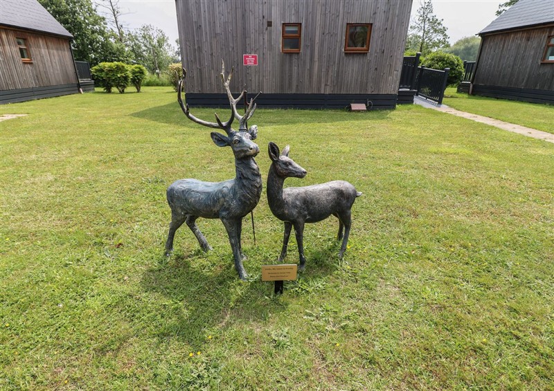 Enjoy the garden (photo 2) at James Ville Marina Lodge 8, Brigg