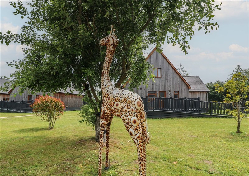 The garden (photo 3) at James Ville Marina Lodge 8, Brigg