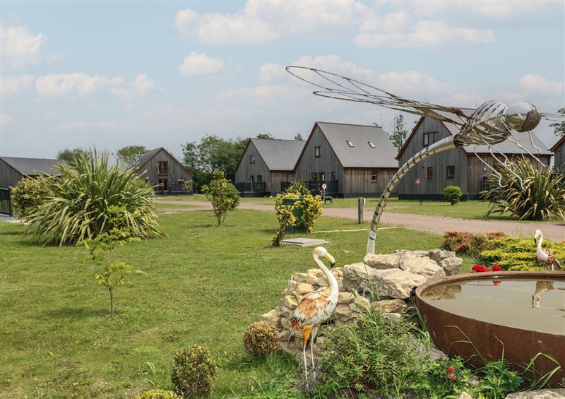 This is the garden (photo 2) at James Ville Marina Lodge 8, Brigg