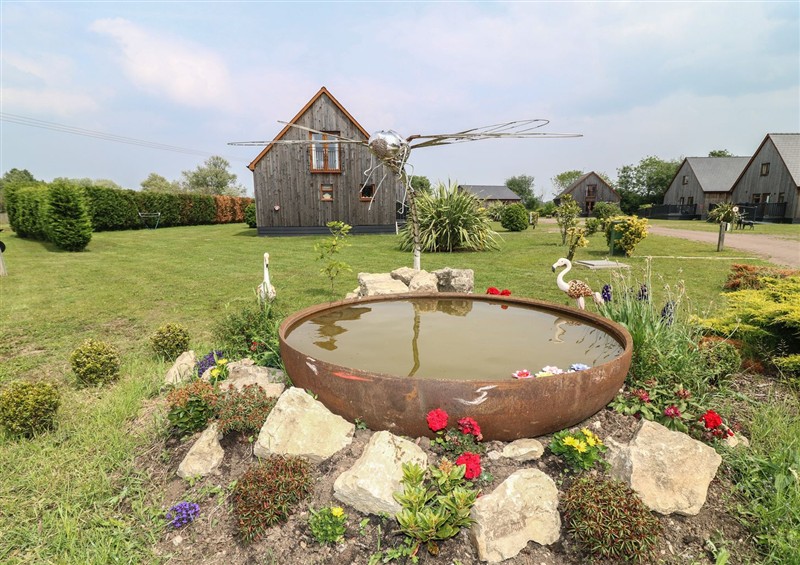 This is the garden at James Ville Marina Lodge 8, Brigg