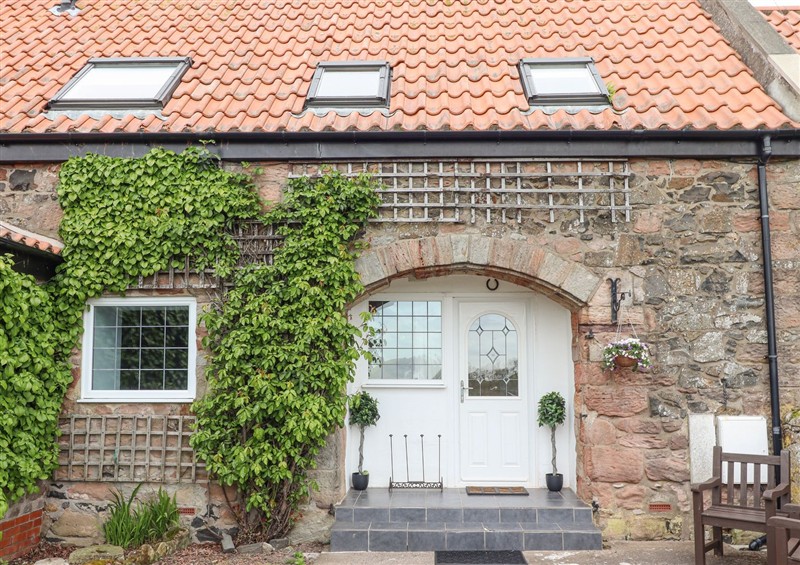 Outside at Jara, Bamburgh