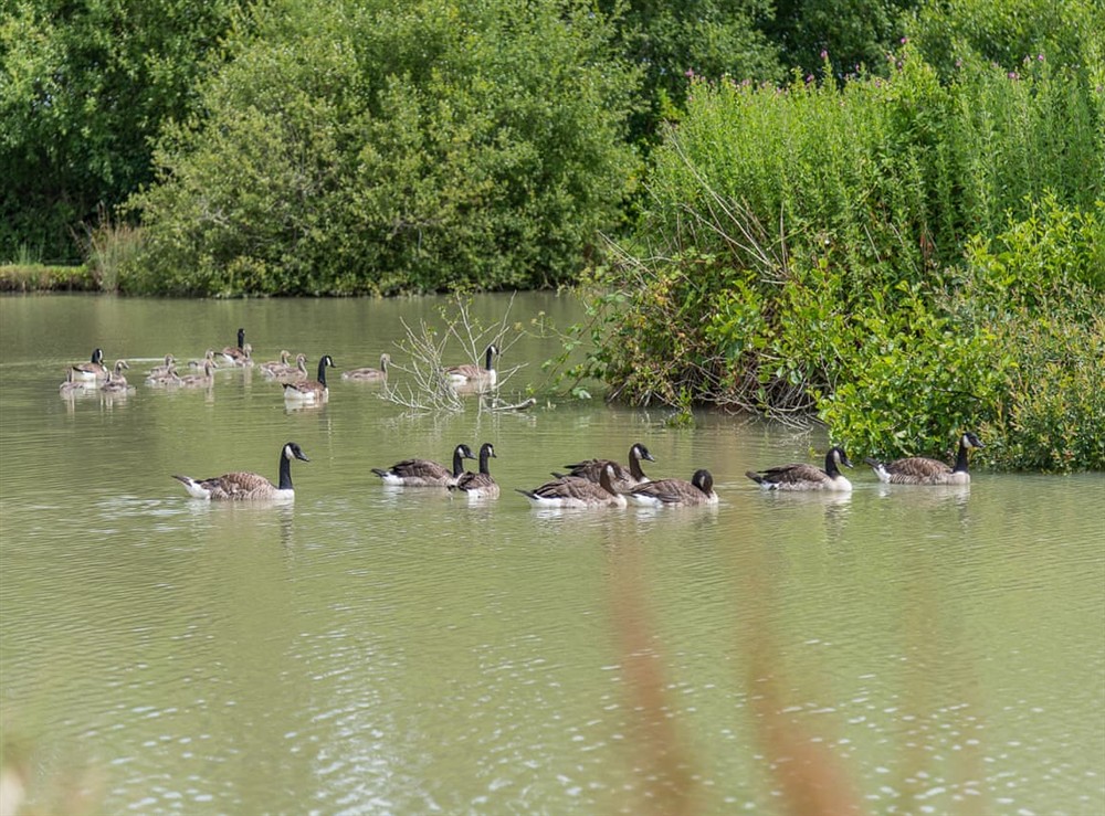 Surrounding area (photo 2) at Jasmine in Blandford Forum, Dorset