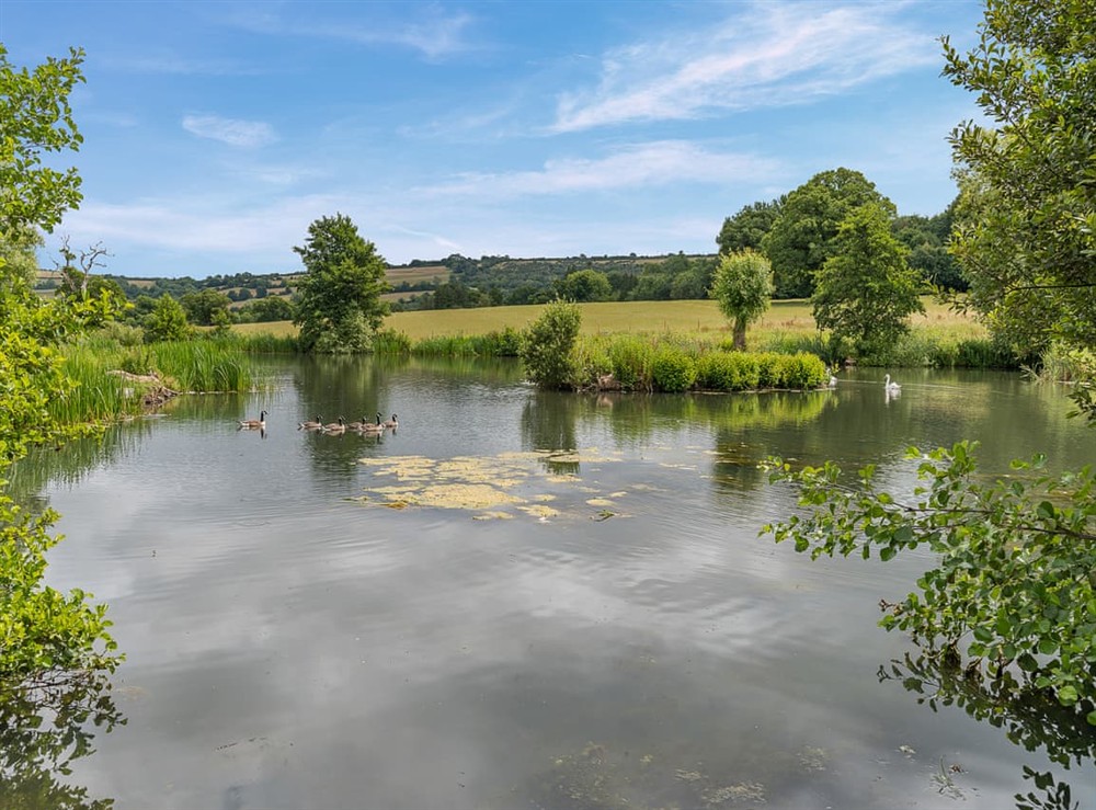 Surrounding area (photo 3) at Jasmine in Blandford Forum, Dorset
