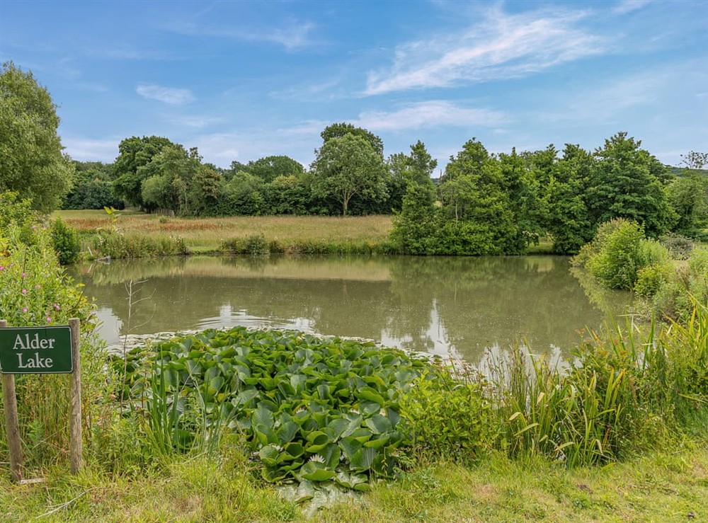 Surrounding area (photo 4) at Jasmine in Blandford Forum, Dorset