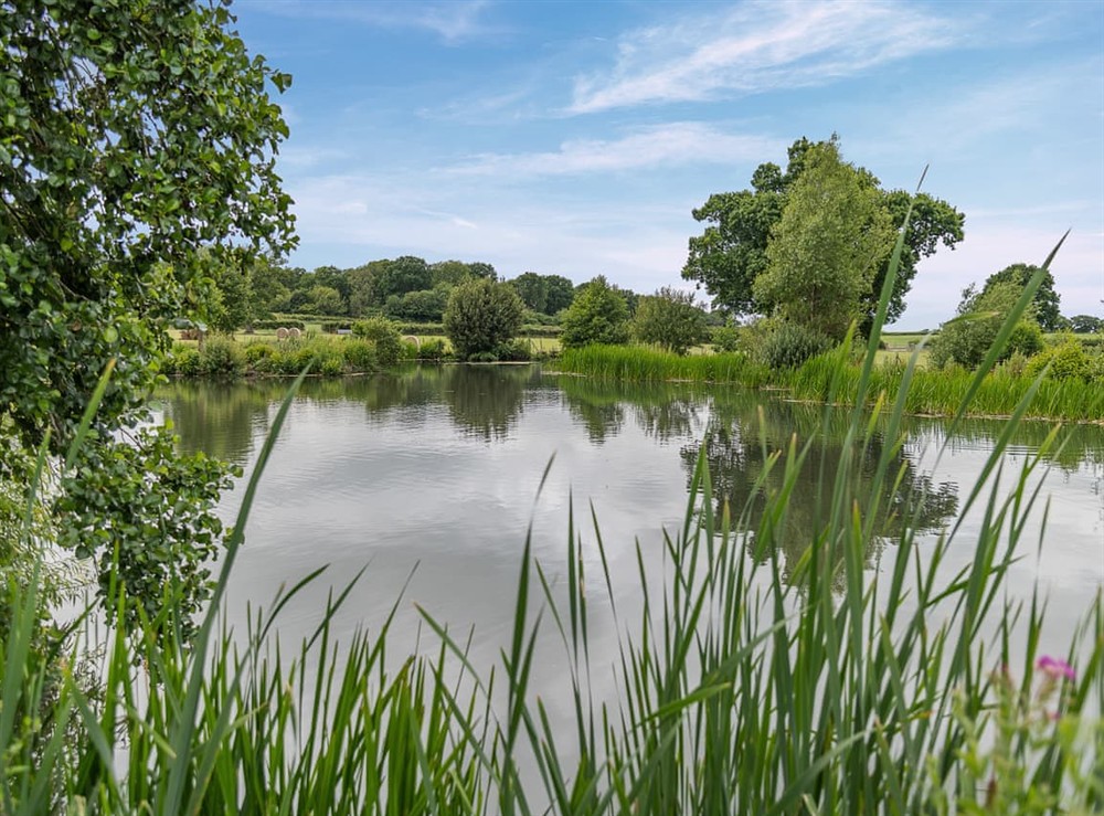 Surrounding area (photo 6) at Jasmine in Blandford Forum, Dorset