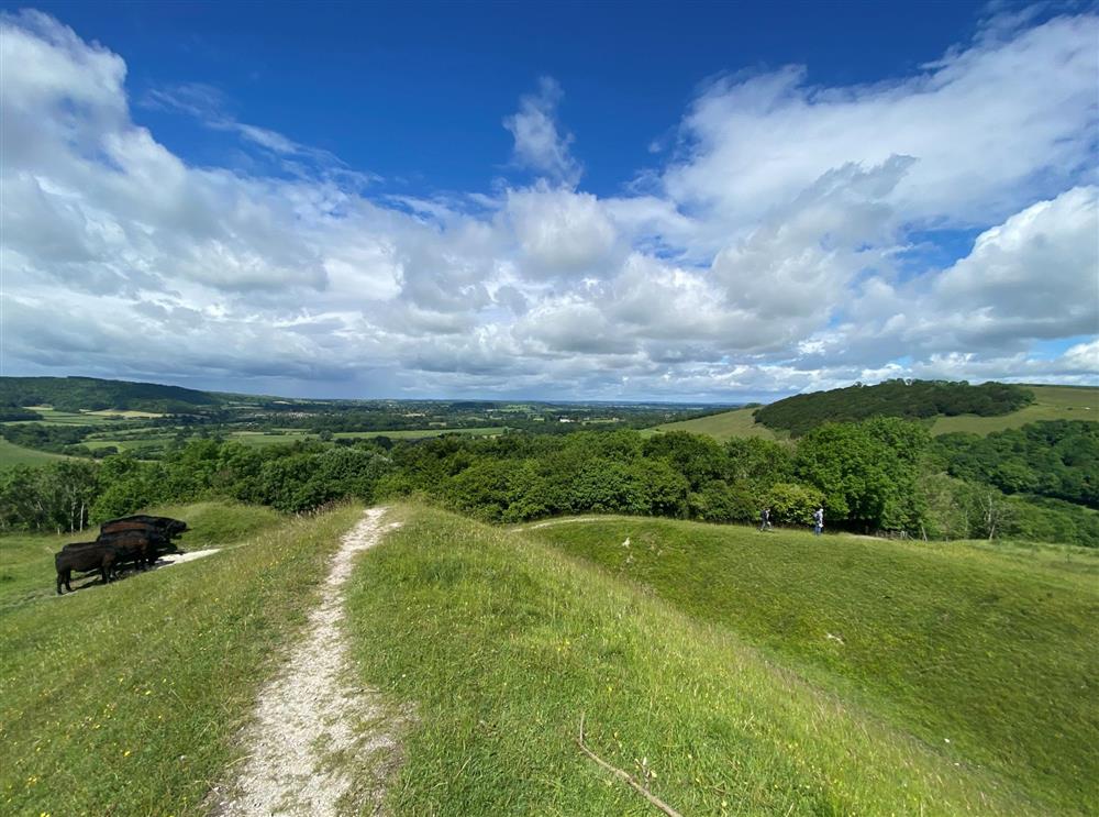 Nearby Hod Hill offers stunning views across Dorset and is well worth a visit at Jasmine Cottage, Shaftesbury
