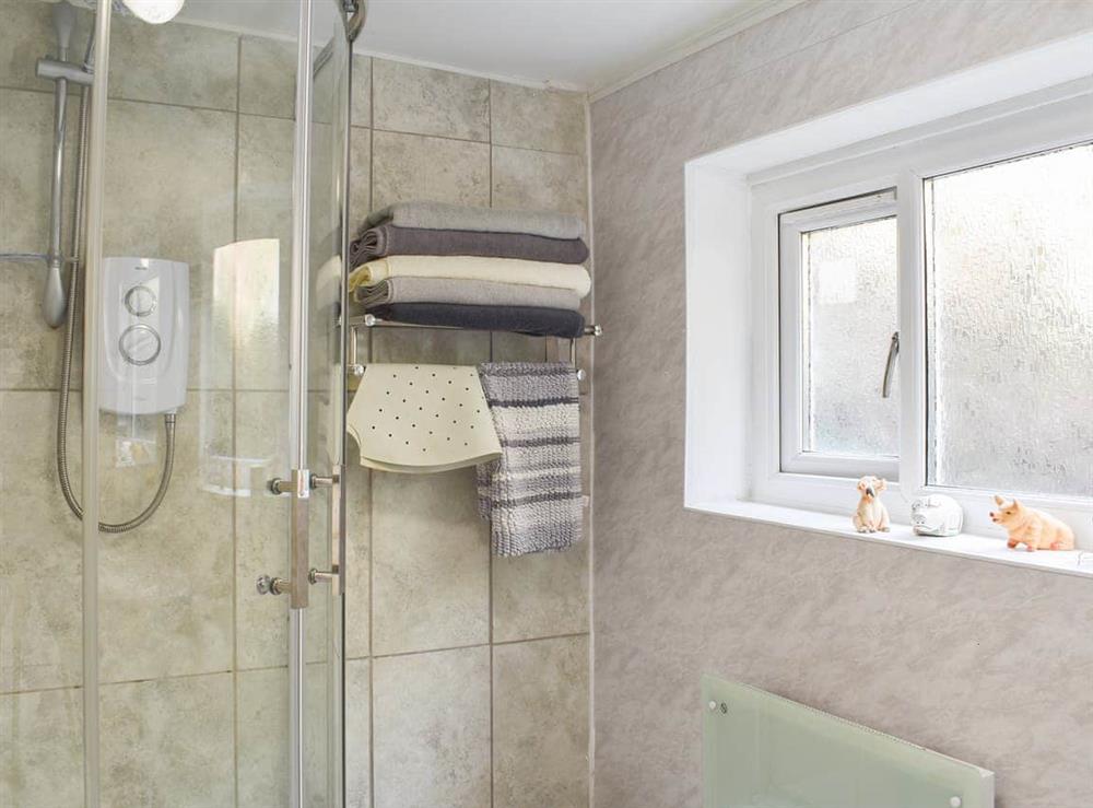 Shower room at Jasmine in Penrhynduedraeth, Gwynedd
