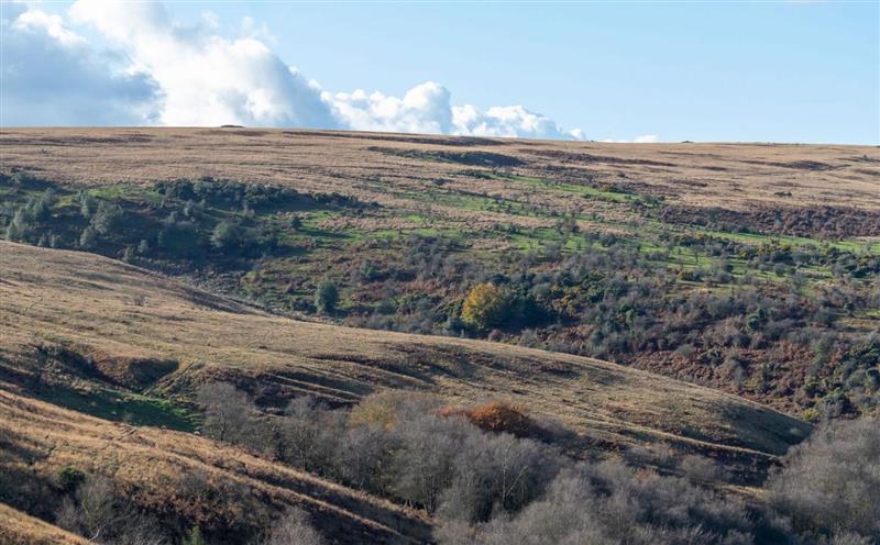 Rural landscape