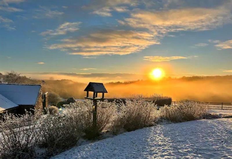 Rural landscape