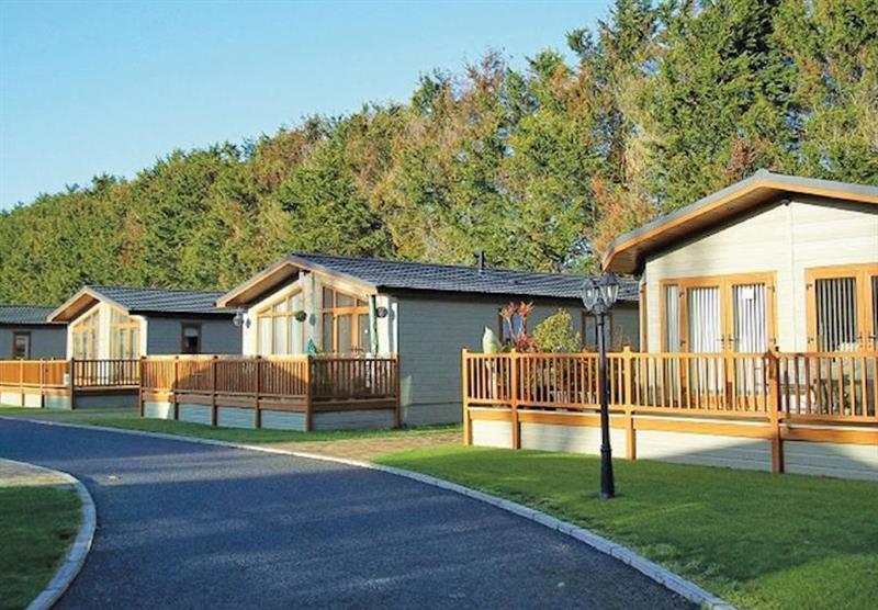 The park setting at Jaybelle Grange Lodges in Sussex, South of England