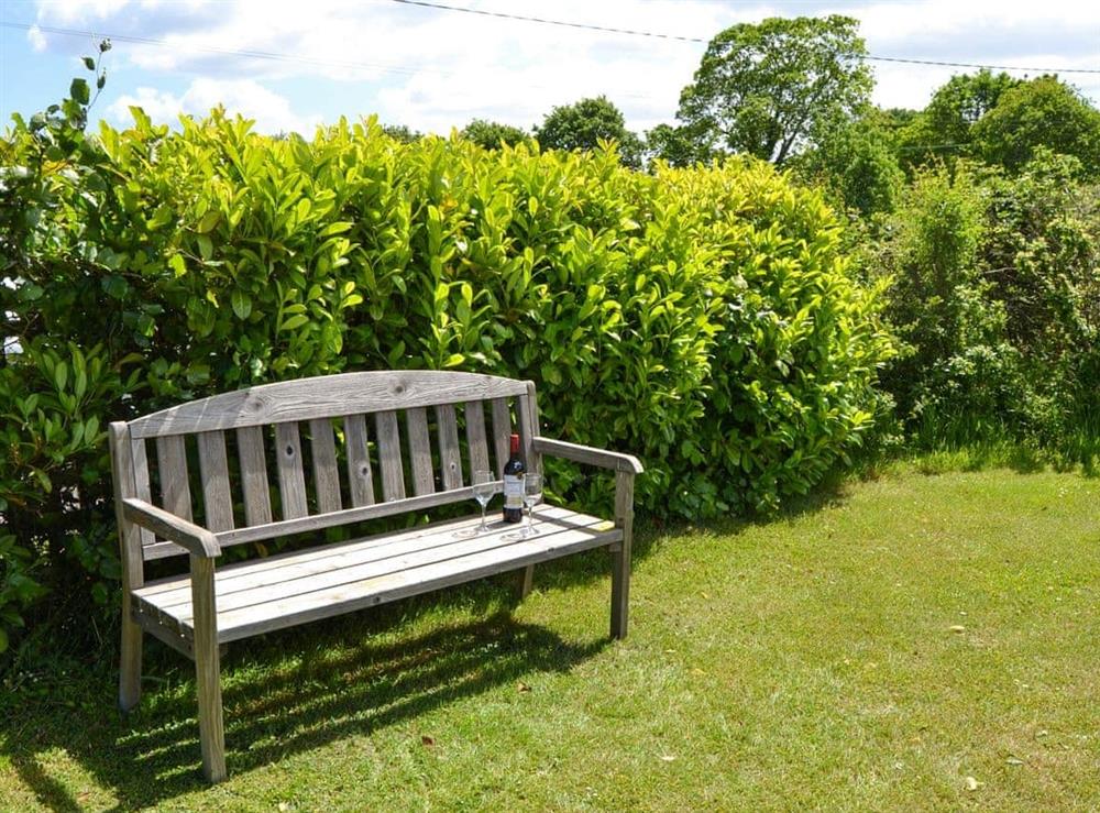 Garden at Jays Hatch in Witton, near Happisburgh, Norfolk